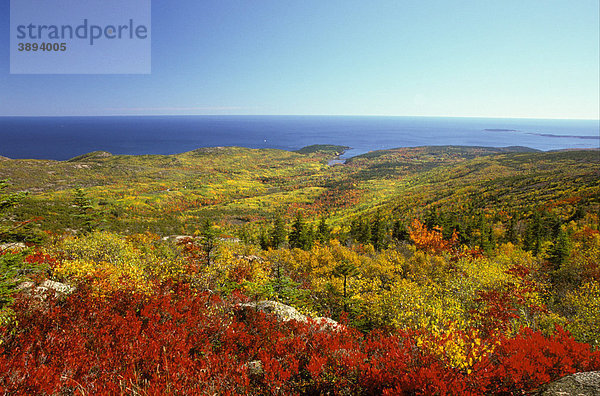 Landschaft  Acadia National Park  Maine  USA