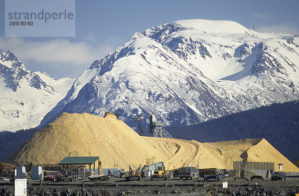 Forstwirtschaft  großer Haufen von Zellstoff an einer Zellstofffabrik  Homer  Alaska  USA