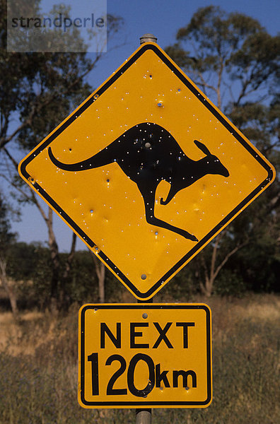 Kangaroo-Warnschild  Australien