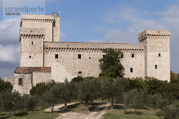 Rocca Albornoz Burg  Narni  Umbrien  Italien  Europa