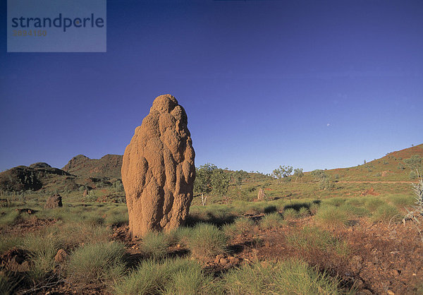 Bungle Bungle  Termitenbau  Nationalpark  Westaustralien  Australien