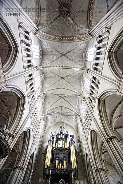 Deckengewölbe mit Orgel der Sint Salvatorskathedraal  St. Salvator in Brügge  Westflandern  Belgien  Europa