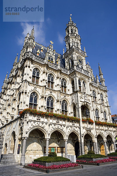 Das Rathaus in Oudenaarde  Belgien  Europa