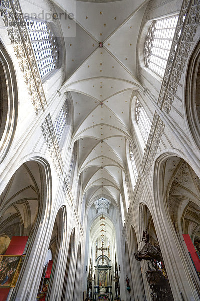 Innenaufnahme der Liebfrauenkathedrale  Onze-Lieve-Vrouwekathedraal  CathÈdrale Notre-Dame  Weltkulturerbe der UNESCO  Antwerpen  Flandern  Belgien  Europa