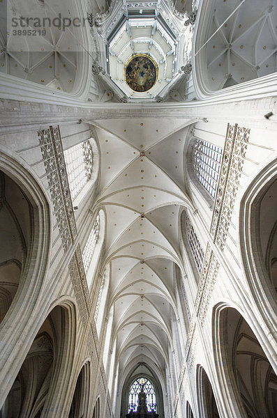 Innenaufnahme der Liebfrauenkathedrale  Onze-Lieve-Vrouwekathedraal  CathÈdrale Notre-Dame  Weltkulturerbe der UNESCO  Antwerpen  Flandern  Belgien  Europa