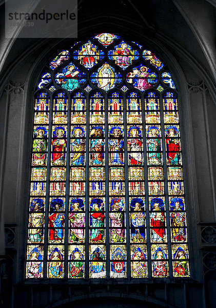 Kirchenfenster der Liebfrauenkathedrale  Onze-Lieve-Vrouwekathedraal  CathÈdrale Notre-Dame  Weltkulturerbe der UNESCO  Antwerpen  Flandern  Belgien  Europa