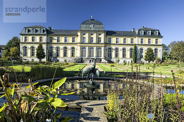 Poppelsdorfer Schloss  Botanischer Garten  Bonn  Nordrhein-Westfalen  Deutschland  Europa