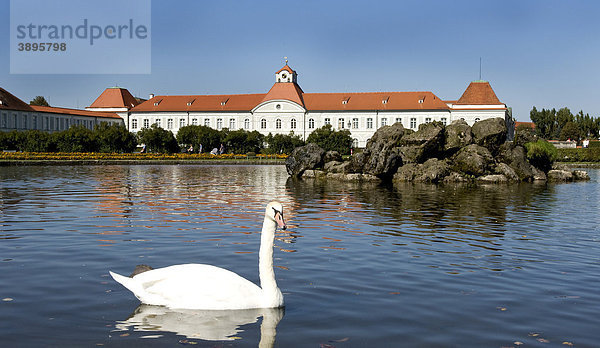 Schlosspark Nymphenburg  München  Oberbayern  Bayern  Deutschland  Europa