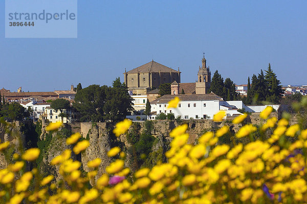 Santa Maria la Mayor Kirche  Ronda  Provinz Malaga  Andalusien  Spanien  Europa