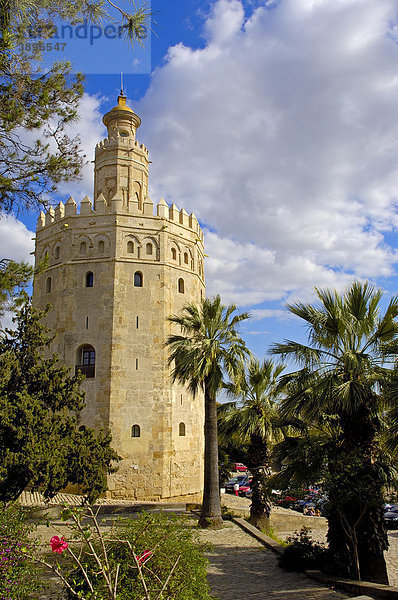 Torre del Oro  Sevilla  Andalusien  Spanien  Europa