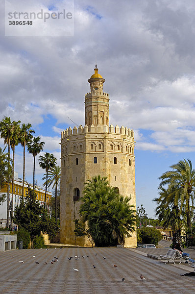 Torre del Oro  Sevilla  Andalusien  Spanien  Europa