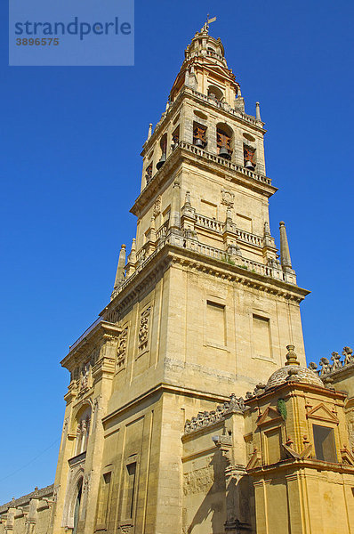 Minarett-Turm der Großen Moschee  CÛrdoba  Andalusien  Spanien  Europa