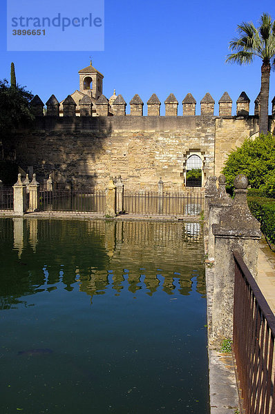Die Gärten des Alc·zar de los Reyes Cristianos  Alcazar der katholischen Könige  Cordoba  Andalusien  Spanien  Europa
