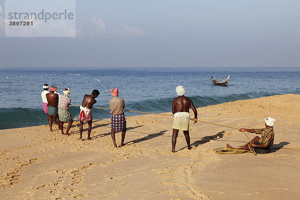 Fischer ziehen Netz ein  Strand südlich von Kovalam  Malabarküste  Malabar  Kerala  Südindien  Indien  Asien