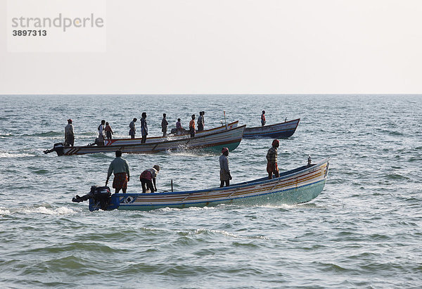 Fischer in Fischerbooten auf Meer  Malabarküste  Malabar  Kerala  Südindien  Indien  Asien