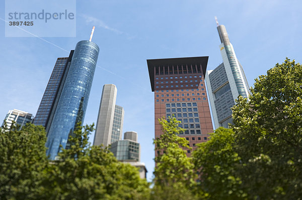 Main Tower und Japan Center hinter Bäumen  Frankfurt am Main  Deutschland