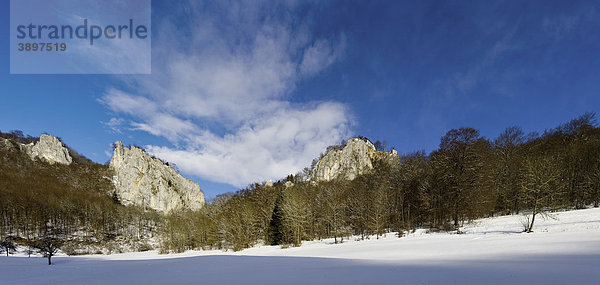 Schloss Bronnen im Naturpark Oberes Donautal im Winter  Landkreis Sigmaringen  Baden-Württemberg  Deutschland  Europa