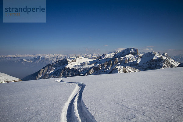 Skispur im Schnee  Churfirsten  Kanton St. Gallen  Schweiz  Europa