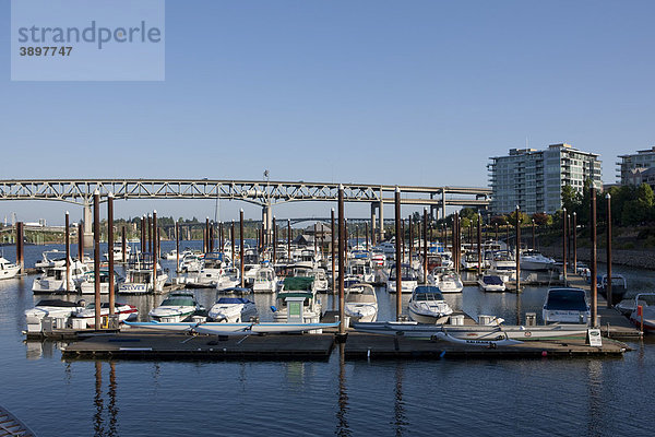 Blick auf den Yachthafen  hinten die Marquam Bridge  die Portland  Orgeon  USA