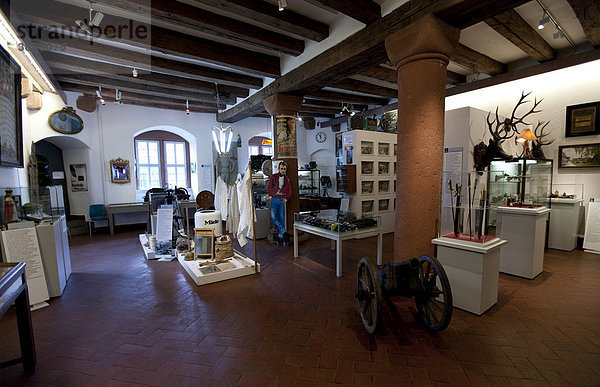Spessartmuseum  im Schloss Lohr am Main  Lohr am Main  Hessen  Deutschland  Europa