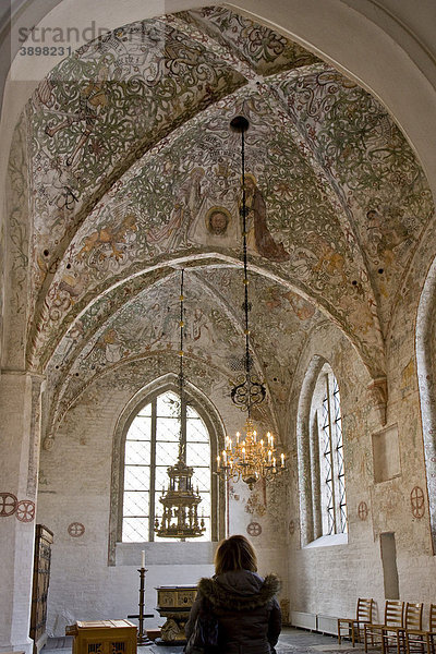 Wandmalereien in der St. Petri-Kirche in Malmö  Schweden  Europa