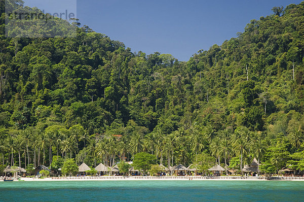 Strand und Palmenwald  Insel Ko Hai oder Koh Ngai  Trang  Thailand  Asien