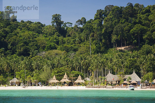 Bungalow-Hotel  Strand und Palmenwald  Insel Ko Hai oder Koh Ngai  Trang  Thailand  Asien
