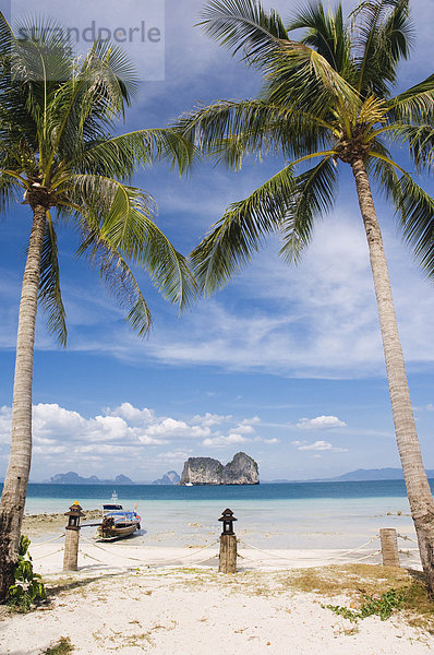 Palmenstrand  Insel Ko Hai oder Koh Ngai  Trang  Thailand  Asien