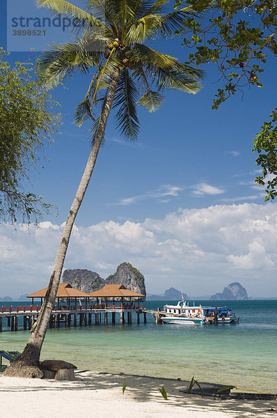 Bootsanlegestelle am Palmenstrand  Insel Ko Hai oder Koh Ngai  Trang  Thailand  Asien