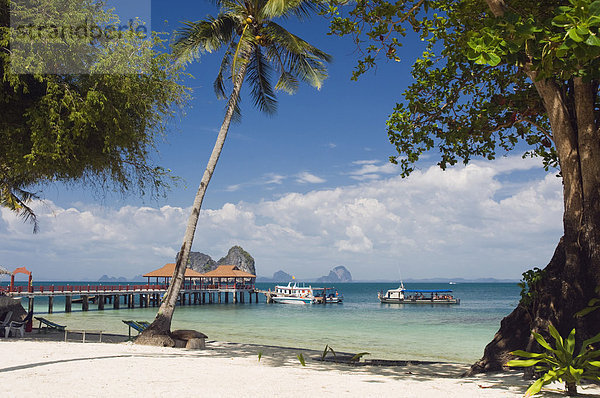 Bootsanlegestelle am Palmenstrand  Insel Ko Hai oder Koh Ngai  Trang  Thailand  Asien