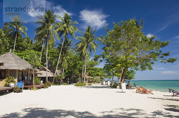 Bungalow-Hotel  Palmen am Sandstrand  Insel Ko Hai oder Koh Ngai  Trang  Thailand  Asien