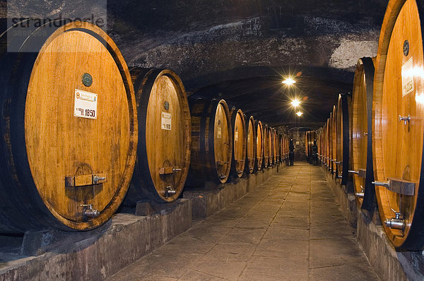Weinfässer im Weinkeller vom Weingut Badia di Coltibuono  Chianti  Toskana  Italien  Europa