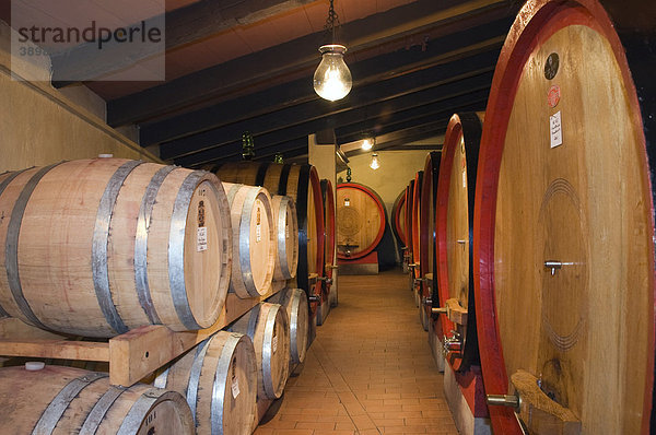 Weinfässer  Weinkeller im Brunello Weingut  Fattoria dei Barbi  Podernovi  Montalcino  Toskana  Italien  Europa