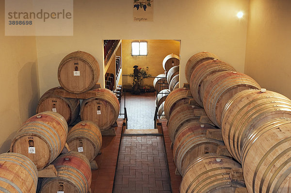 Vin Santo im Weinkeller im Brunello Weingut  Fattoria dei Barbi  Podernovi  Montalcino  Toskana  Italien  Europa