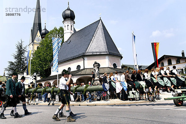 Maibaum  Festumzug  Prien  Chiemgau  Oberbayern  Deutschland  Europa