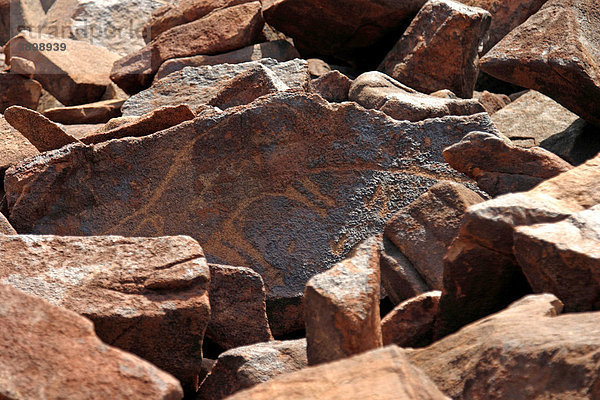 Felszeichnungen der australischen Ureinwohner  30.000 Jahre alt  Darstellung eines Rinds  Deep Gorge  Murujuga oder Burrup Halbinsel  Dampier  Western Australia  Australien