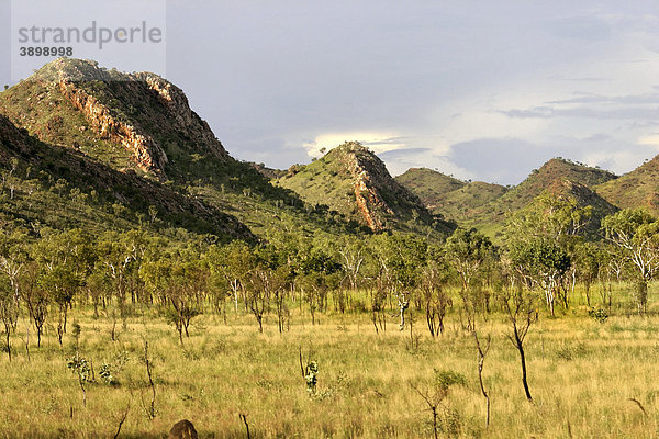 Australische Outback Landschaft  Carr Boyd Range  Kununurra  Kimberley  Nordwest-Australien