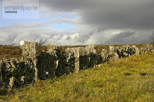 Mauer  The Burren  County Clare  Republik Irland  Europa