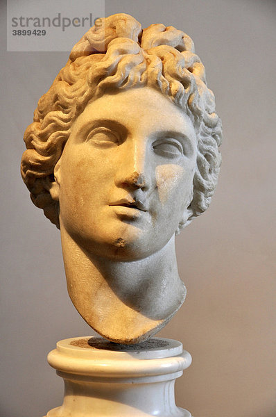 Antike Marmor-Büste Gott Apollo  Museo Palatino  Palatin  Rom  Latium  Italien  Europa