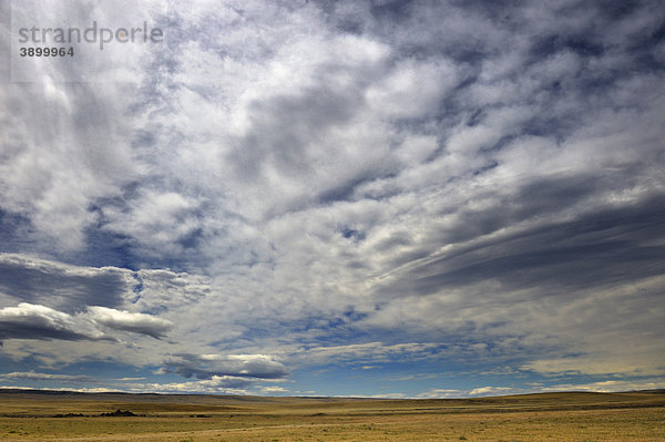 Dramatischer Wolkenhimmel über Pampa  Patagonien  Chile  Südamerika