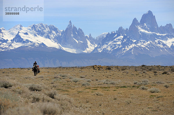 Berittener Gaucho vor Bergkette von Fitz Roy und Cerro Torre  El Chalten  Anden  Patagonien  Argentinien  Südamerika