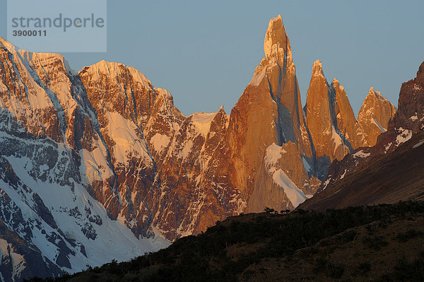 Cerro Torre bei Morgenlicht  El Chalten  Anden  Patagonien  Argentinien  Südamerika