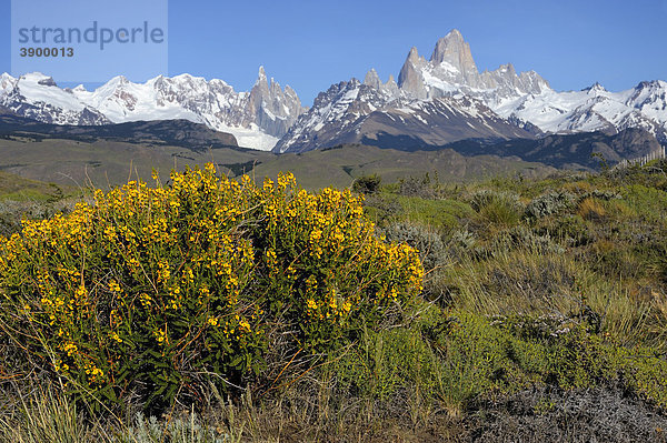 Cerro Torre und Fitz Roy  El Chalten  Anden  Patagonien  Argentinien  Südamerika