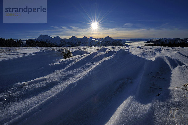 Schneestrukturen mit Alpenpanorama bei letztem Licht  Tannheimer Tal  Tirol  Österreich  Europa