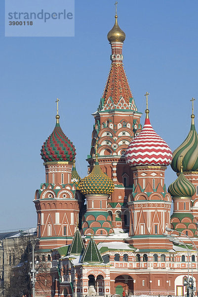 Kuppeln der Basilius-Kathedrale  Moskau  Russland