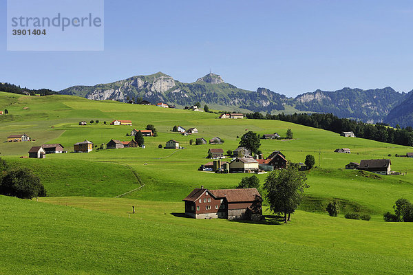 Landschaft mit Bauernhäusern  hinten das Alpsteingebirge  Kanton Appenzell  Schweiz  Europa