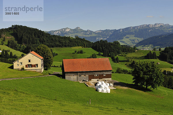 Bauernhaus  hinten das Alpsteingebirge  Kanton Appenzell  Schweiz  Europa
