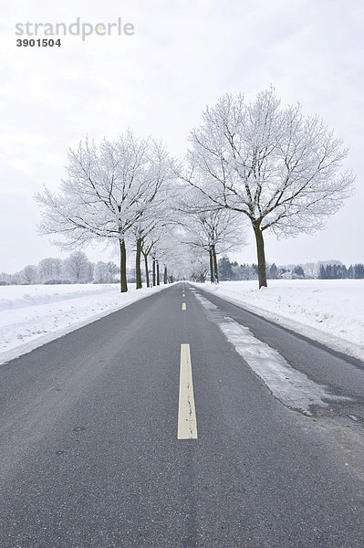 Winterliche Straße mit Eisstellen