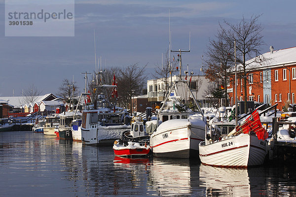 Fischkutter und andere Schiffe im Hafen von Heiligenhafen an der Ostseeküste im Winter  Kreis Ostholstein  Schleswig-Holstein  Ostsee  Deutschland  Europa