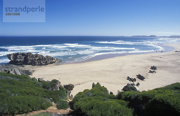 Strand von Brenton-on-Sea  Wilderness Nationalpark  bei Knysna  Garden Route  Westkap  Südafrika  Afrika